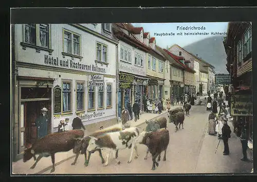 AK Friedrichroda, Hauptstrasse mit Hôtel & Restaurant Hoffmann und heimziehender Kuhherde