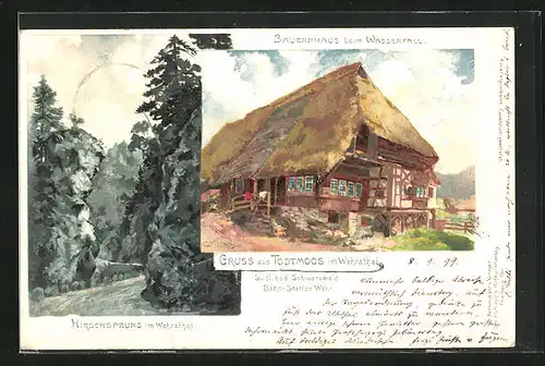 Lithographie Todtmoos im Whrathal /Bad Schwarzwald, Bauernhaus beim Wassserfall, Hirschsprung im Wehrathal