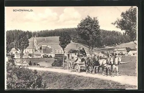 AK Schönwald, Pferdekutsche vor der Stadt