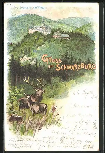 Lithographie Schwarzburg, Hirsch im Wald mit Schloss auf Berg