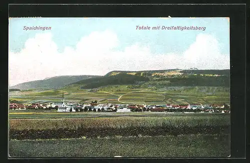 AK Spaichingen, Panorama mit Dreifaltigkeitsberg