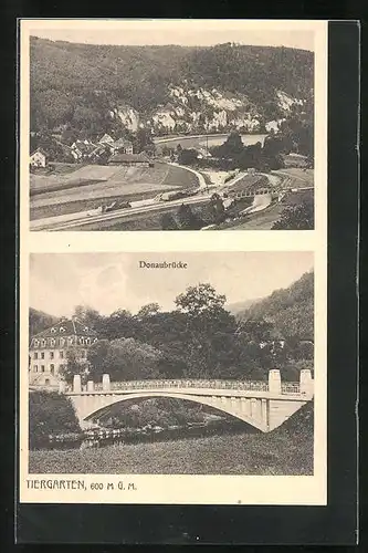 AK Tiergarten, Panorama und Donaubrücke