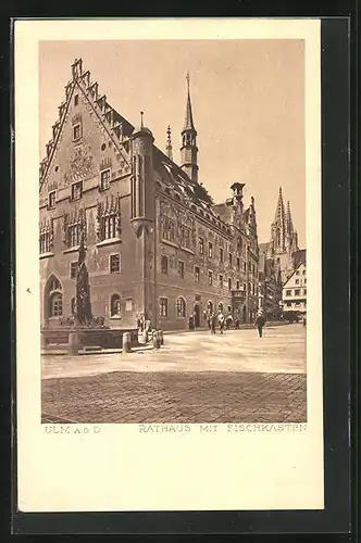 AK Ulm a. d. D., Rathaus mit Fischkasten