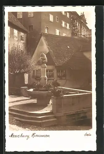 AK Meersburg, Brunnen mit Bär