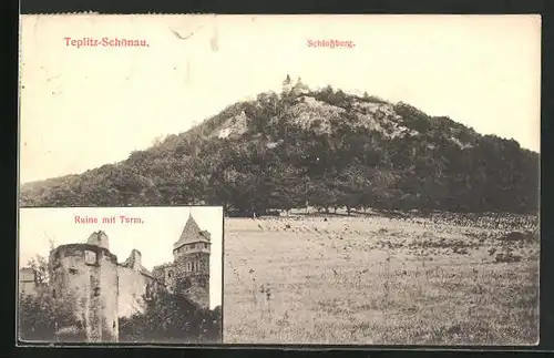 AK Teplitz Schönau / Teplice, Schlossberg, Ruine mit Turm