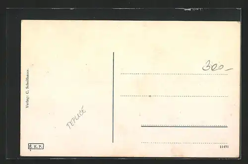 AK Dux / Duchcov, Walther v. d. Vogelweide-Denkmal