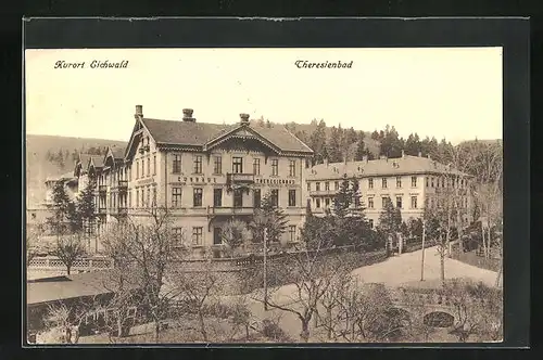 AK Eichwald, Strasse zum Theresienbad