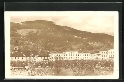 AK Bohosudov, Basilika a gymnasium