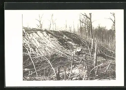 AK Artillerie, Getarnte Stellung mit einem Geschütz