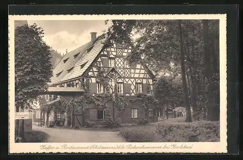 AK Pirkenhammer, Cafe u. Restaurant Schützenmühle