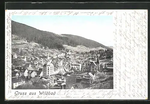 AK Wildbad, Ortsansicht aus der Vogelschau