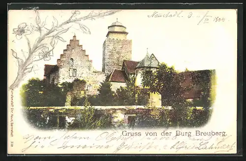 AK Breuberg, Partie der Burg