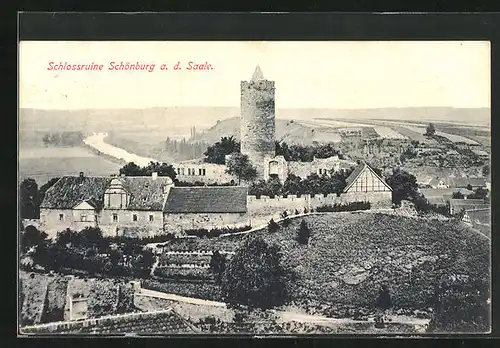 AK Schönburg a. d. Saale, Schlossruine mit Umgebung