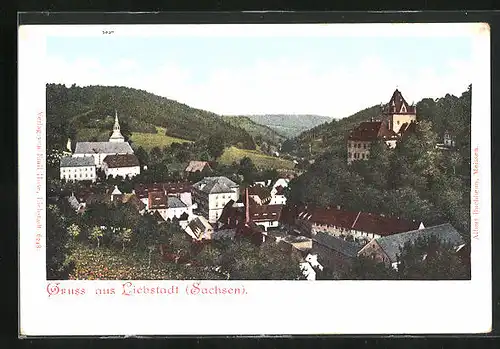 AK Liebstadt, Ortspartie mit Fernblick