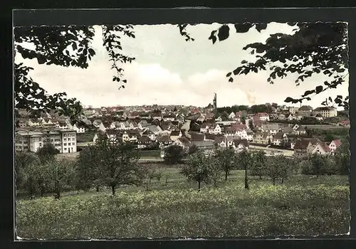 AK Bitz b. Balingen, Panorama mit Kirche