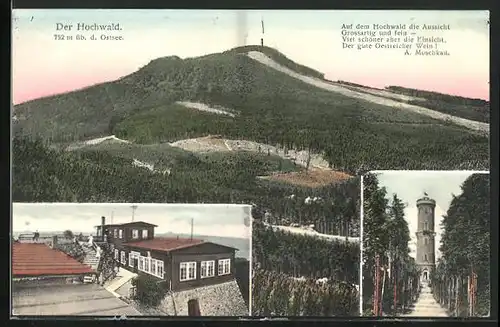 AK Hochwald, Aussichtspattform und Turm