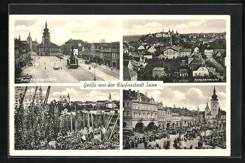 AK Saaz, Platz, Hopfenplantage, Marktplatz