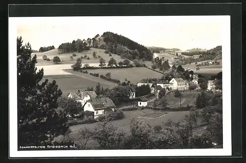 AK Groisbach, Teilansicht der Sommerfrische