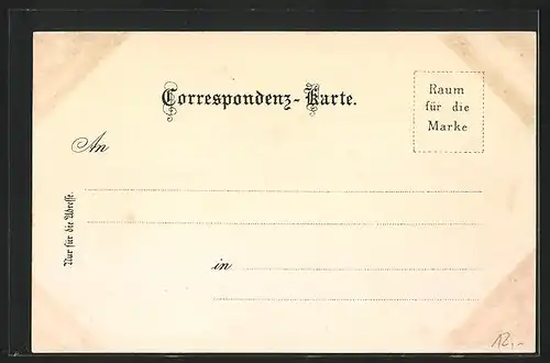 Lithographie Linz, Maria-Empfängniss-Dom, Franz-Josef-Warte, Postlingberg