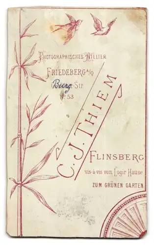Fotografie C. J. Thiem, Flinsberg, Portrait junge Frau im Biedermeierkleid mit Brosche