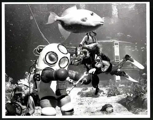 Fotografie Walt Disney World Epcot Center, Taucher & Tiefseetaucher im Aquarium The Living Seas, Grossformat 25 x 20cm