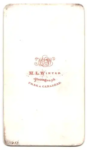 Fotografie M. L. Winter, Prag, Portrait ältere Dame im karierten Kleid mit Haube