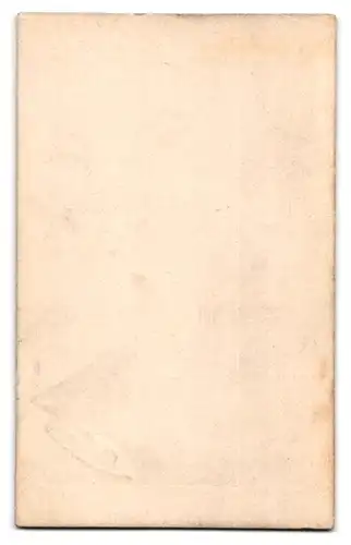 Fotografie J. B. Hilsdorf, Bingen a. Rh., Ansicht Rüdesheim a. Rh., Nationaldenkmal auf dem Niederwald
