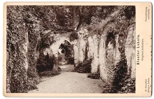 Fotografie H. Zernsdorf, Belzig, Ansicht Lehnin, Runie des Klosters 1898