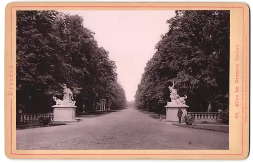 Fotografie Römmler & Jonas, Dresden, Ansicht Dresden, Allee im grossen Garten