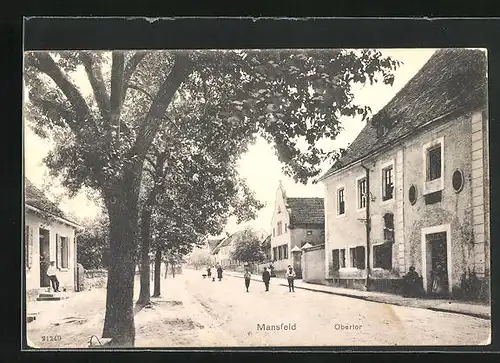 AK Mansfeld, Obertor, Hauptstrasse durch den Ort