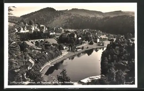 AK Ziegenrück, Ortsansicht vom Schlossberg