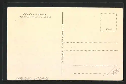 AK Eichwald i. Erzgebirge, Phys. diät. Sanatorium Theresienbad, Grosser Gesellschaftssaal, Innenansicht