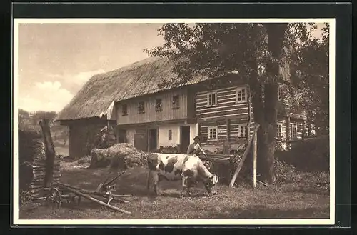 AK Nieder-Ebersdorf, Bauernhaus mit Kuh