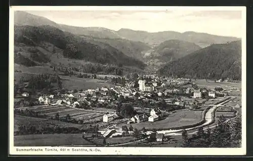AK Türnitz, Ortsansicht mit Berglandschaft