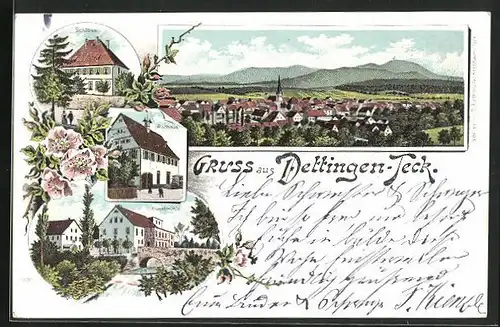 Lithographie Dettingen-Teck, Kunstmühle, Schloss, Rathaus, Panorama