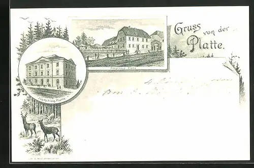 Lithographie Platte, Forsthaus, Jagdschloss, Hirsch und Rehe