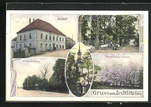 AK Zedtlitz, Gasthof, Baumblüte im Garten, Garten-Eingang