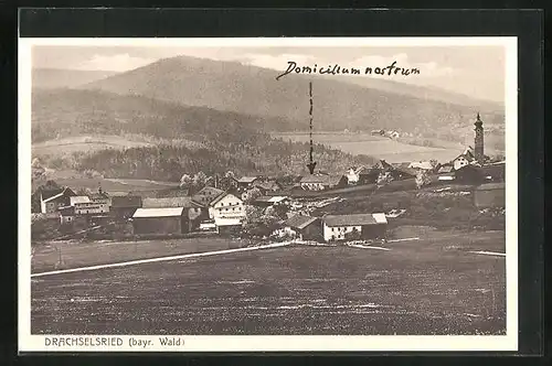 AK Drachselsried /Bayr. Wald, Ortsansicht