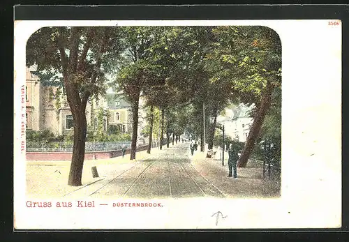 AK Kiel, Düsternbrook mit Passanten