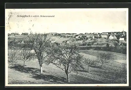 AK Schopfloch i. württ. Schwarzwald, Teilansicht mit Bäumen