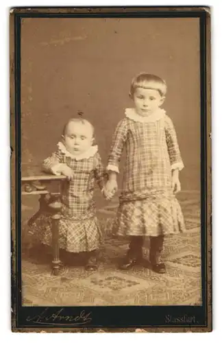 Fotografie A. Arndt, Stassfurt, Bahnhof-Str. 4, Portrait zwei kleine Kinder in karierten Kleidern mit Spitzenkragen