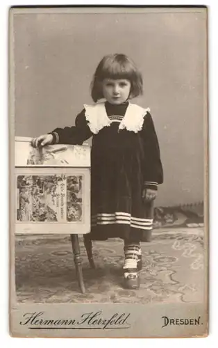 Fotografie Hermann Herzfeld, Dresden, Altmarkt, Portrait kleines Mädchen im Samtkleid mit Spitzenkragen, Tierbuch
