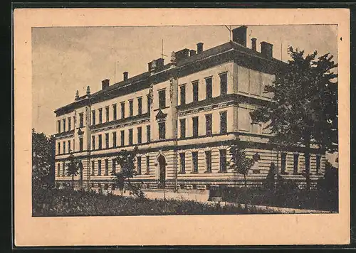 AK Kynsperk n. Ohri, Skola, Schule