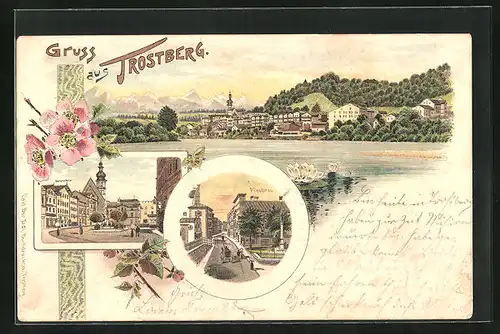 Lithographie Trostberg, Gasthaus Pfaubräu, Strassenpartie mit Buchdruckerei, Teilansicht