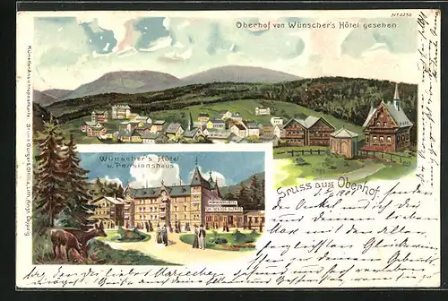 Lithographie Oberhof, Wünscher`s Hôtel u. Pensionshaus, Teilansicht