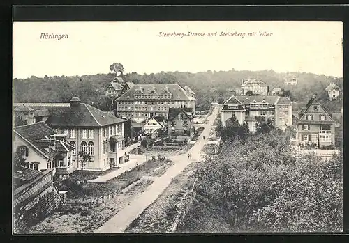 AK Nürtingen, Steinberg-Strasse und Steinberg mit Villen