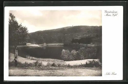 AK Daun / Eifel, Gemündener Maar