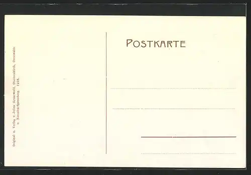 AK Neustadt, Pension und Heilstätte Hohwald