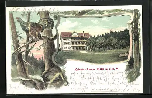 AK Kniebis, Hotel Lamm, Auerhahn