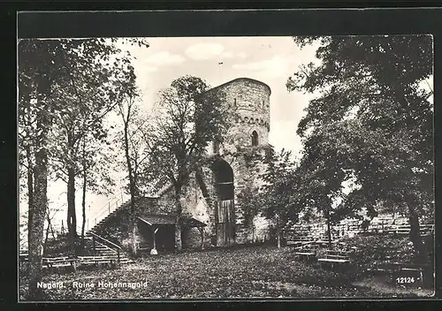 AK Nagold, Ruine Hohennagold